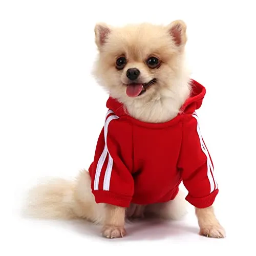 SUDADERA PARA CHIHUAHUA CÓMODA Y CÁLIDA
