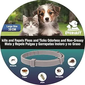 Tempotech Original ® Collar Antiparasaitario _ Per