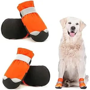 Zapatos de Perro - Antideslizante Protectores de P