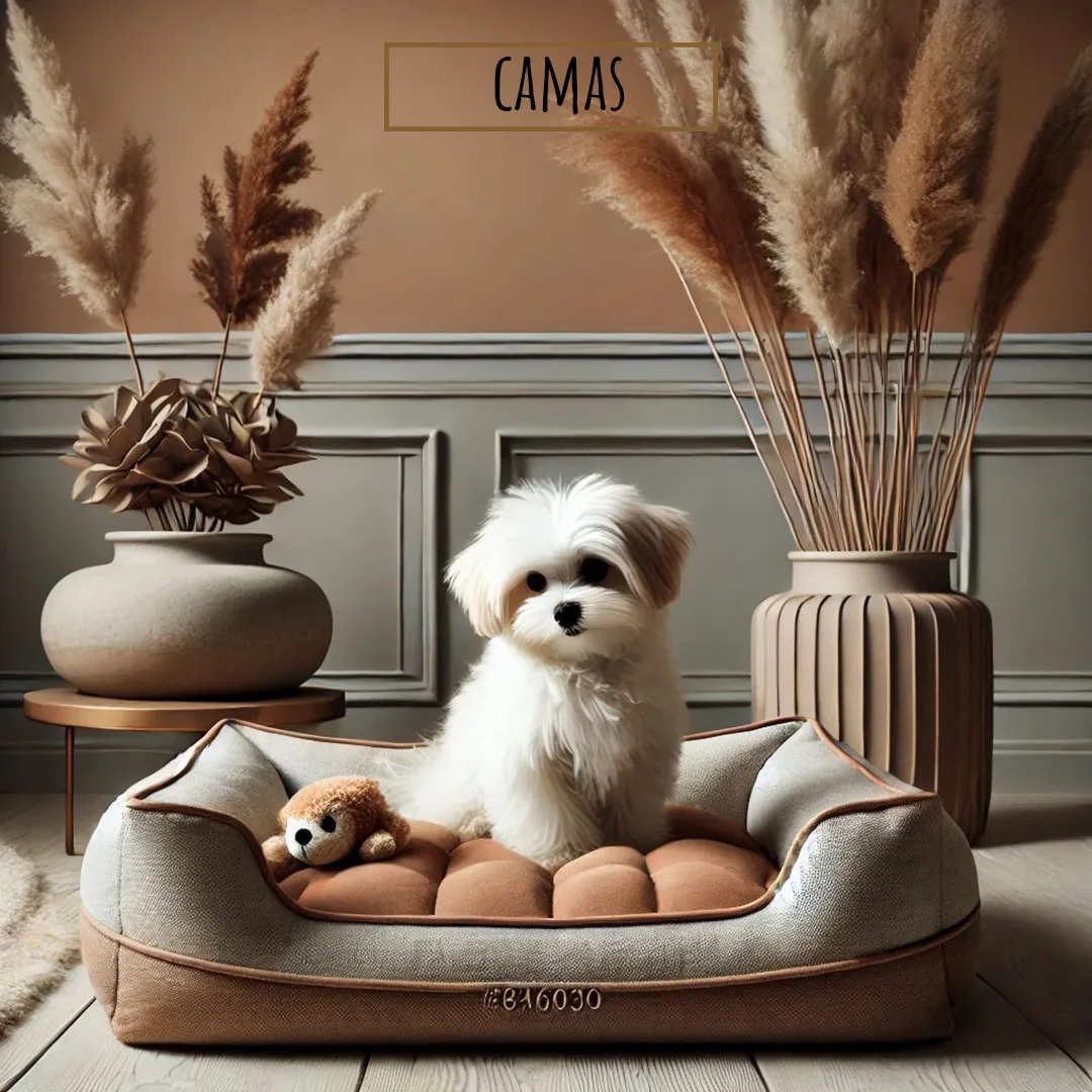 camas para perros mini toy
