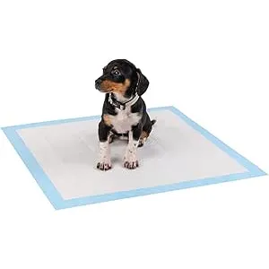 lionto Alfombrilla de Entrenamiento para Cachorros